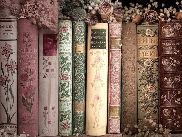 Feltételek, házirend